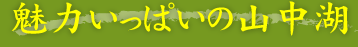 魅力いっぱいの山中湖